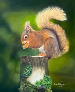 Red Squirrel on Stump