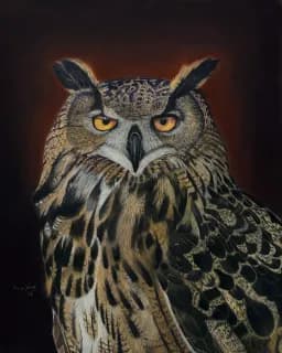 Amber-Eyed Guardian Eurasian Eagle Owl