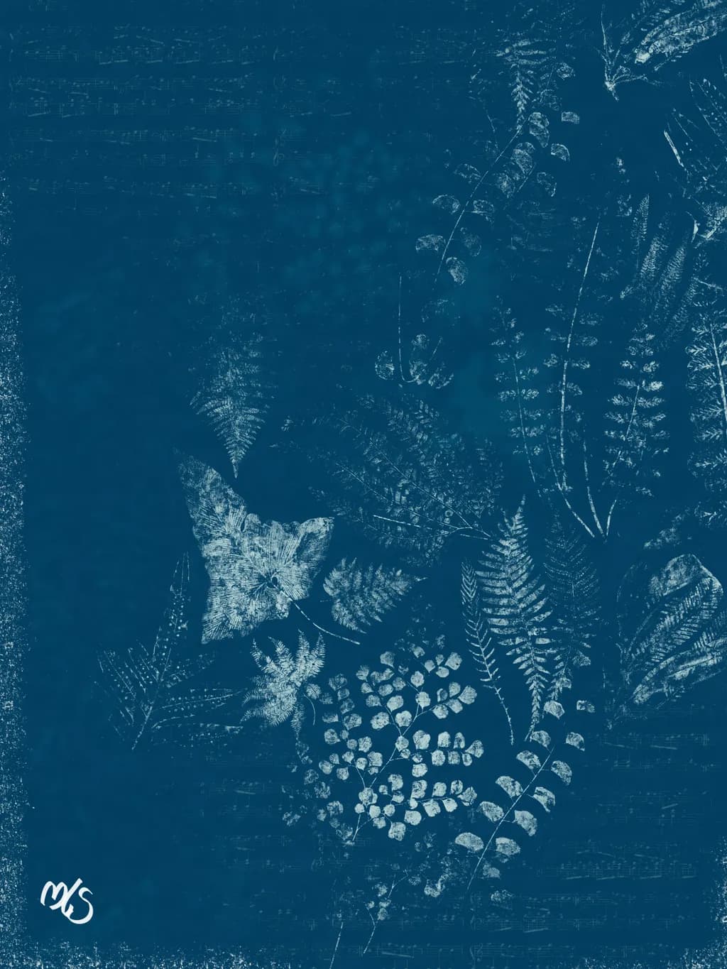 Botanical Memory