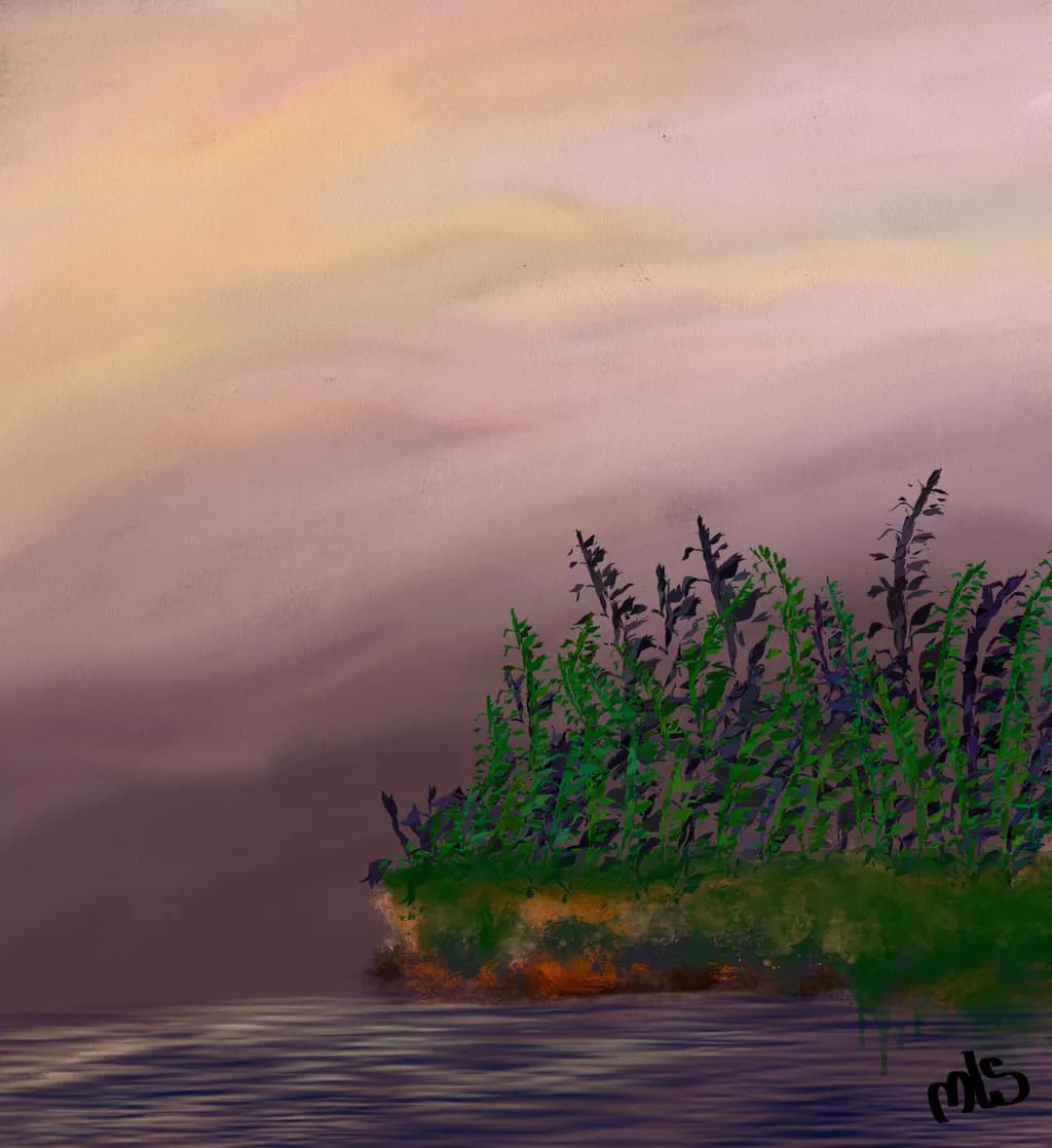 Twilight Reeds at Dusk