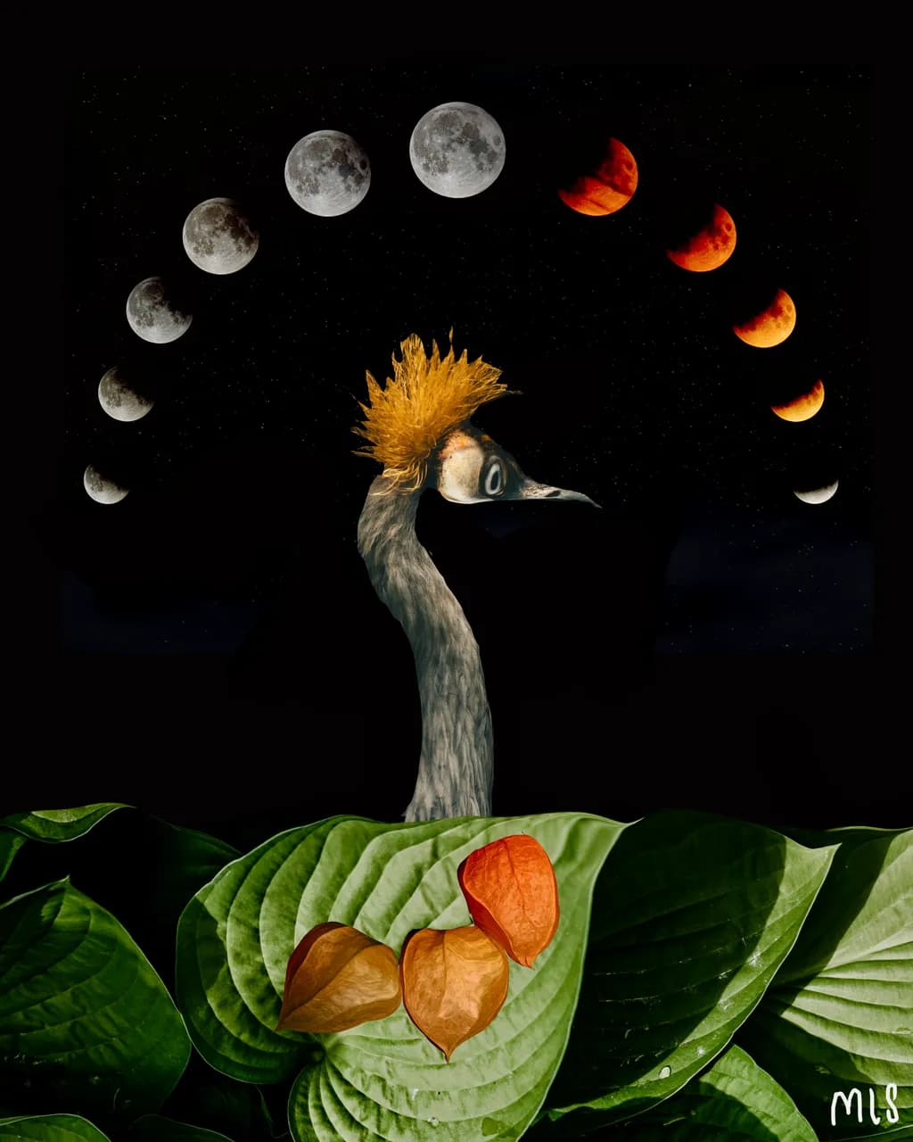 Moonbird