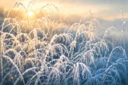 Sunrise Over Frost