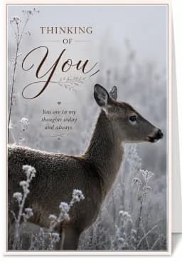 Deer in Frosted Meadow