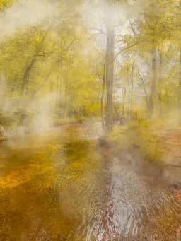 Fall Creek