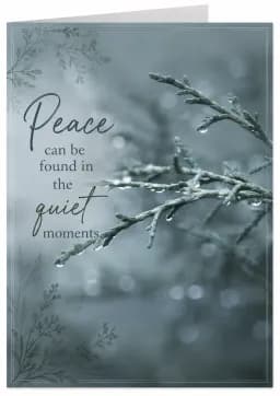 Quiet Reflection