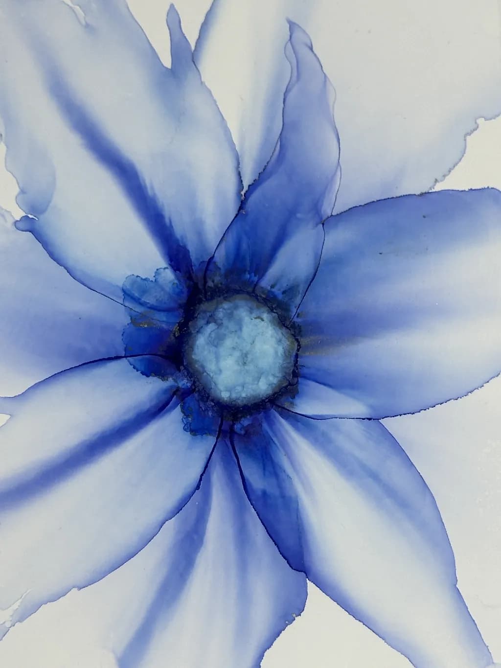 Blue Blossom