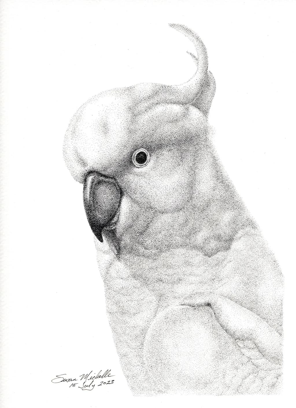 Whimsical Whispers: A Close-Up of a Cockatoo's Charm
