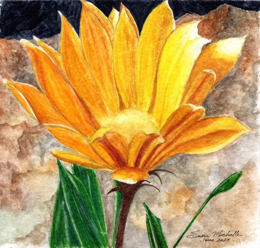 Another Aussie Flower