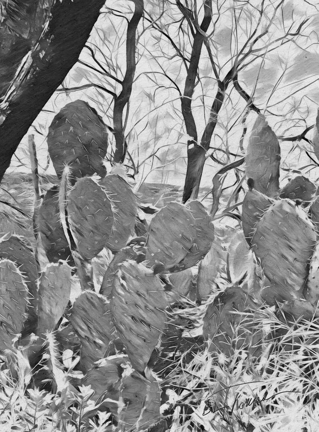 Prickly Pear Cropped