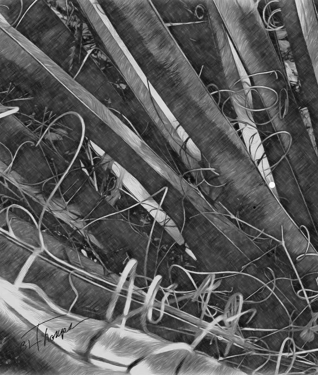 Yucca Twist