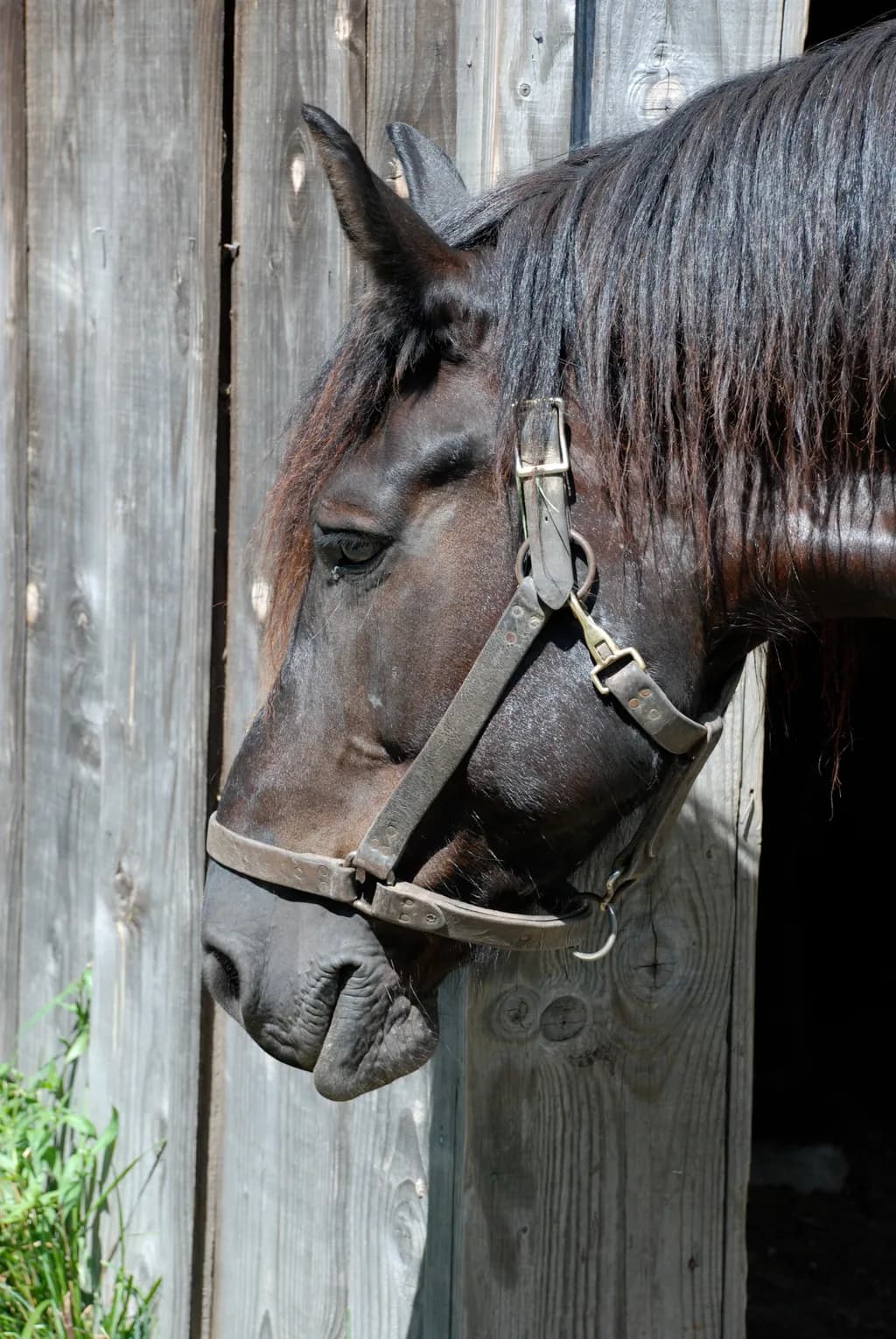 Quiet Grace