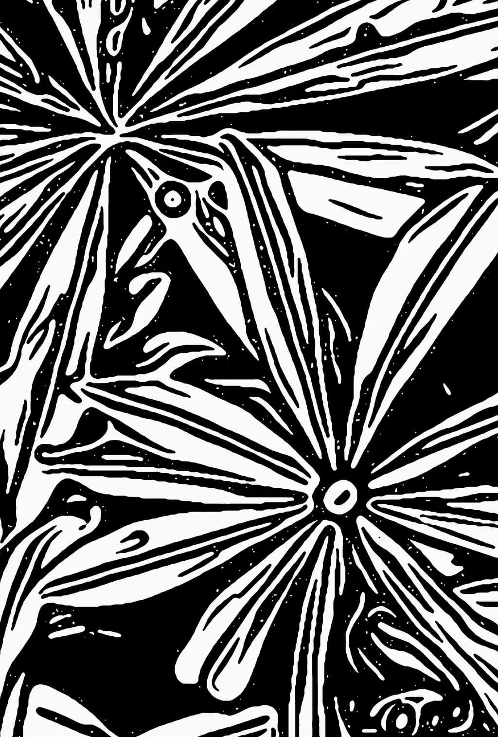 Whimsical Blossoms: A Dance of Light and Shadow in Black and White Artistry