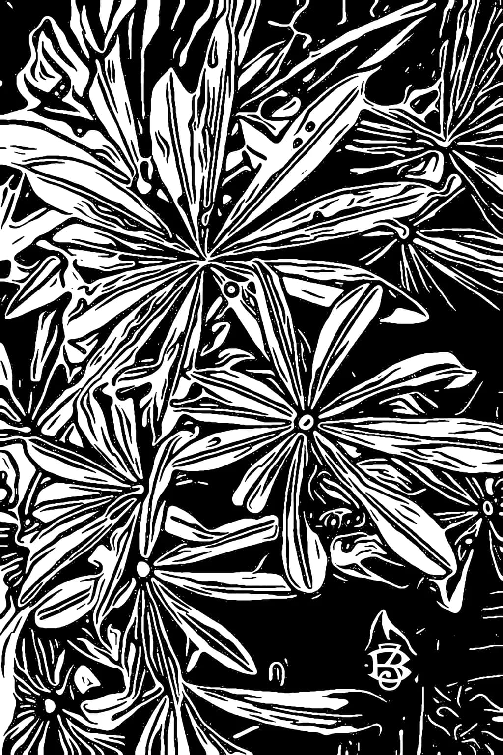 Whispers of Nature: A Bold Dance of Black and White Flora