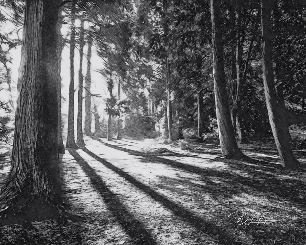 Silent Shadows