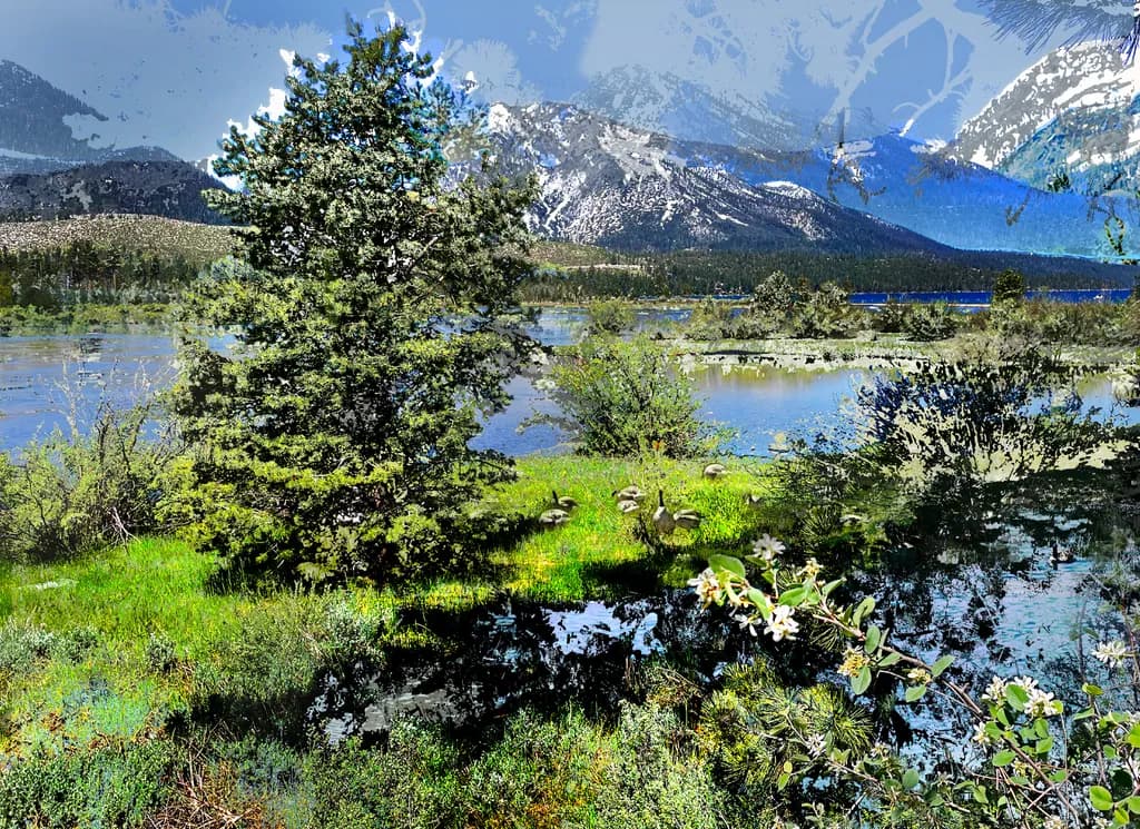 Mountain Lake Refuge