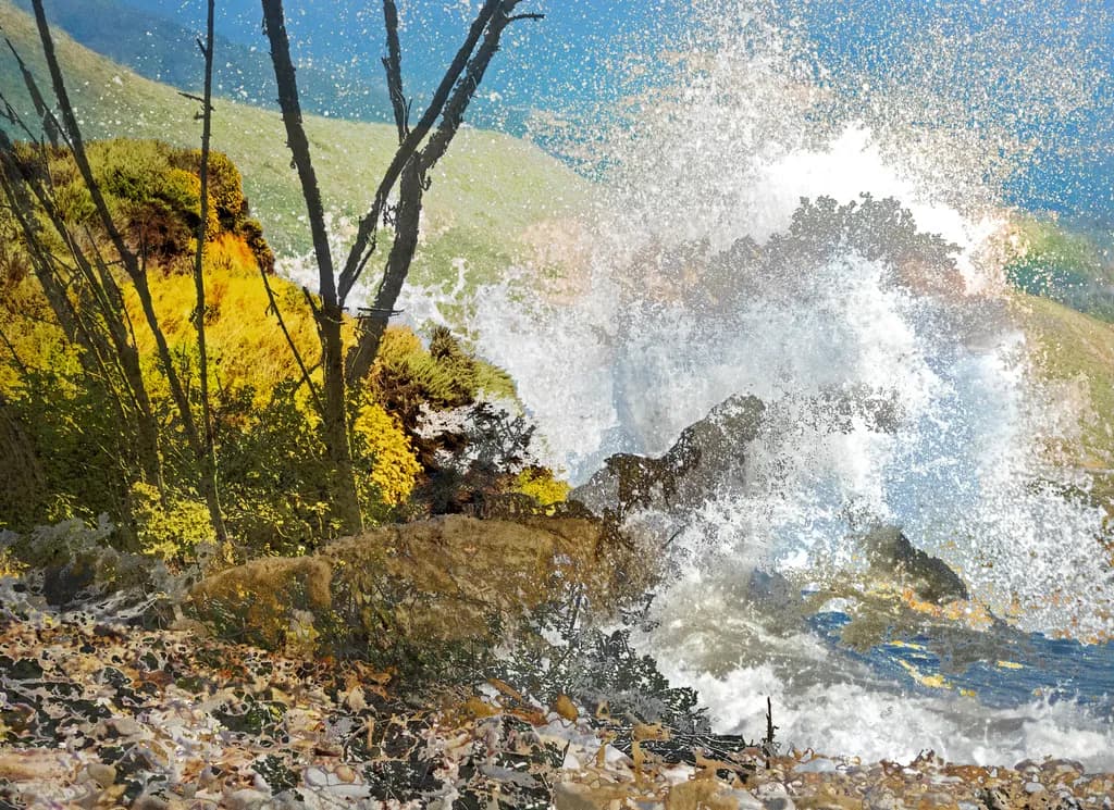 Coastal Surge