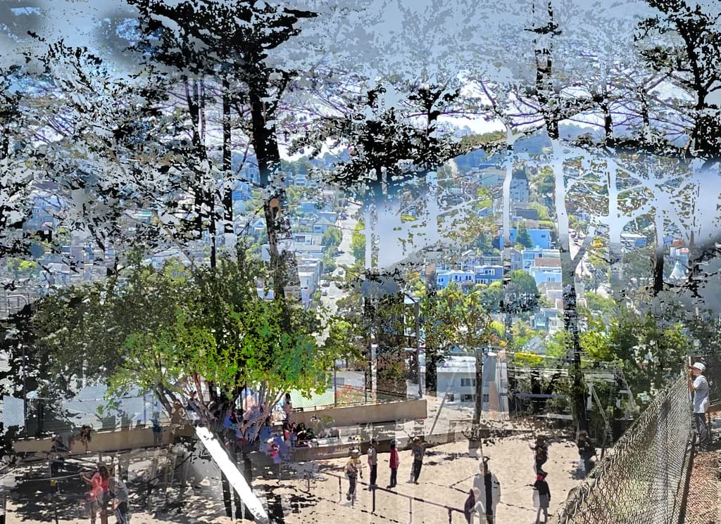 Urban Canopy Play