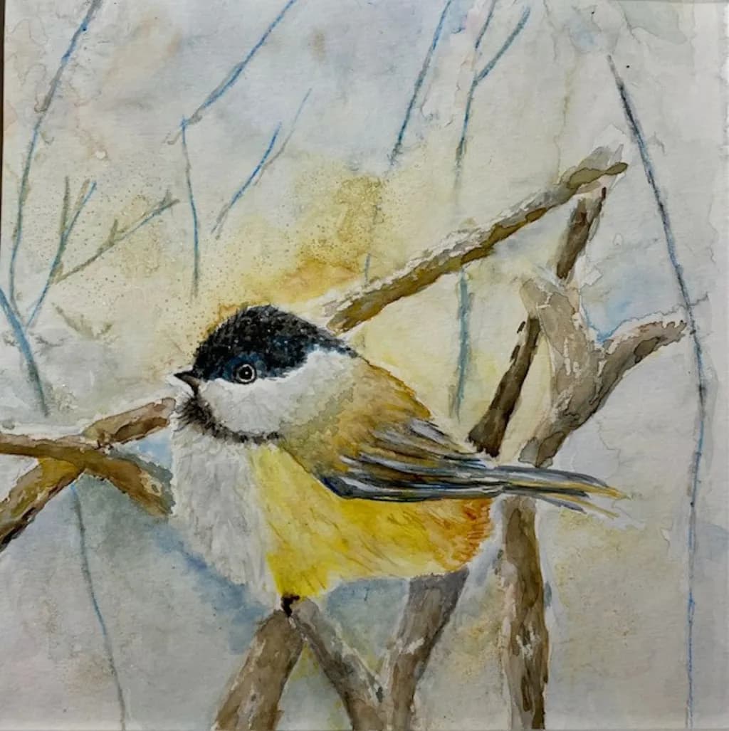 Chickadee Chill