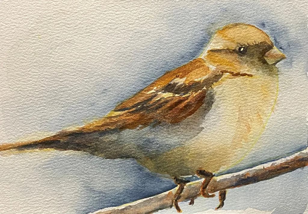 Sparrow Snap