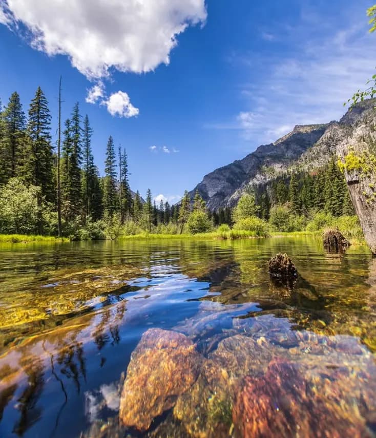 Whispers of Nature: A Serene Reflection on Water and Stone