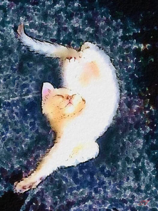 Whimsical Dreams: A Playful Cat's Journey to Relaxation