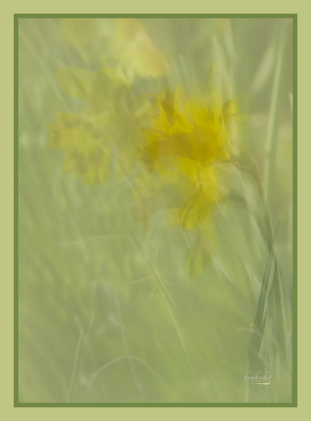 Impressions of Spring