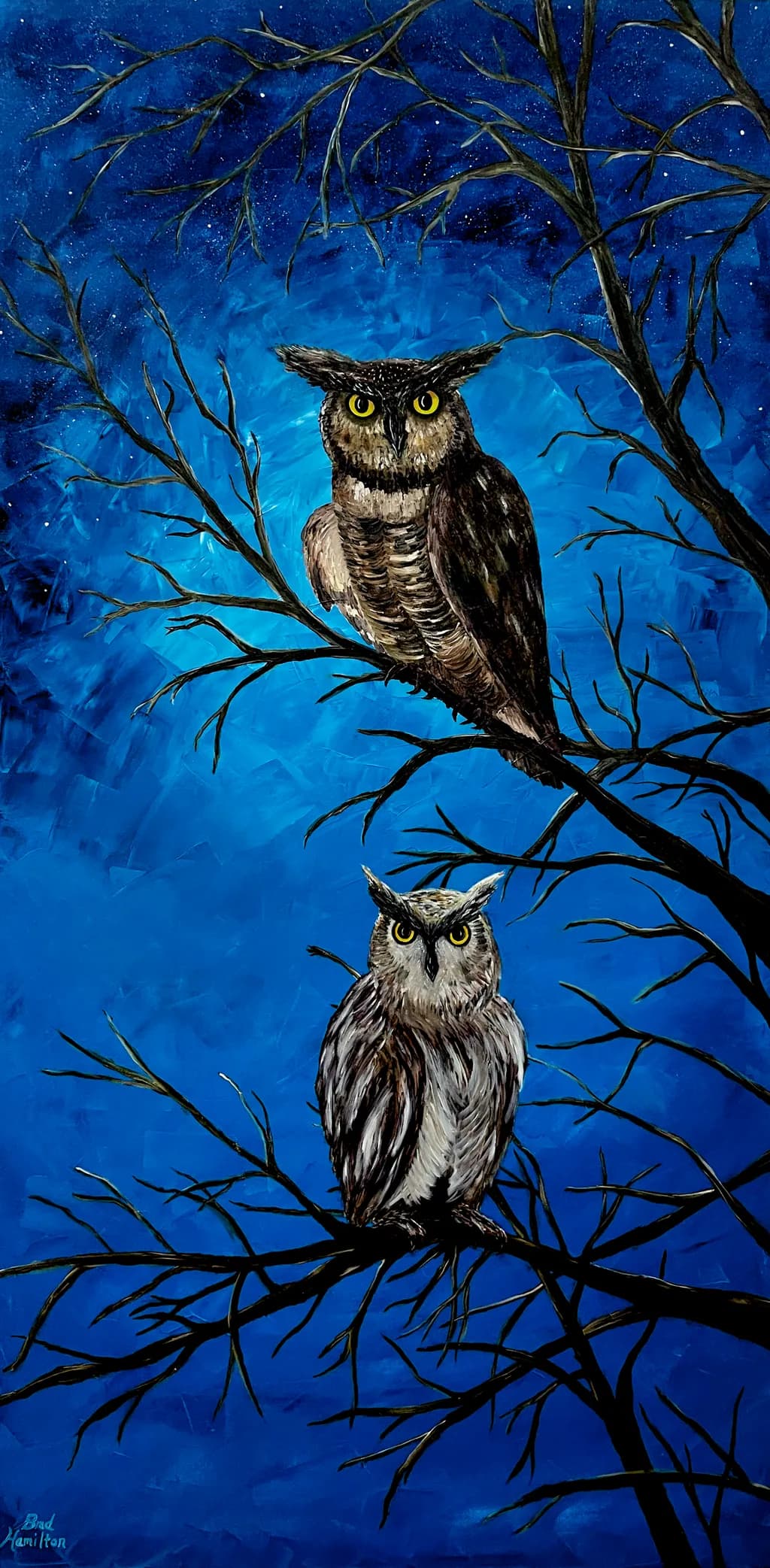 Nightwatch