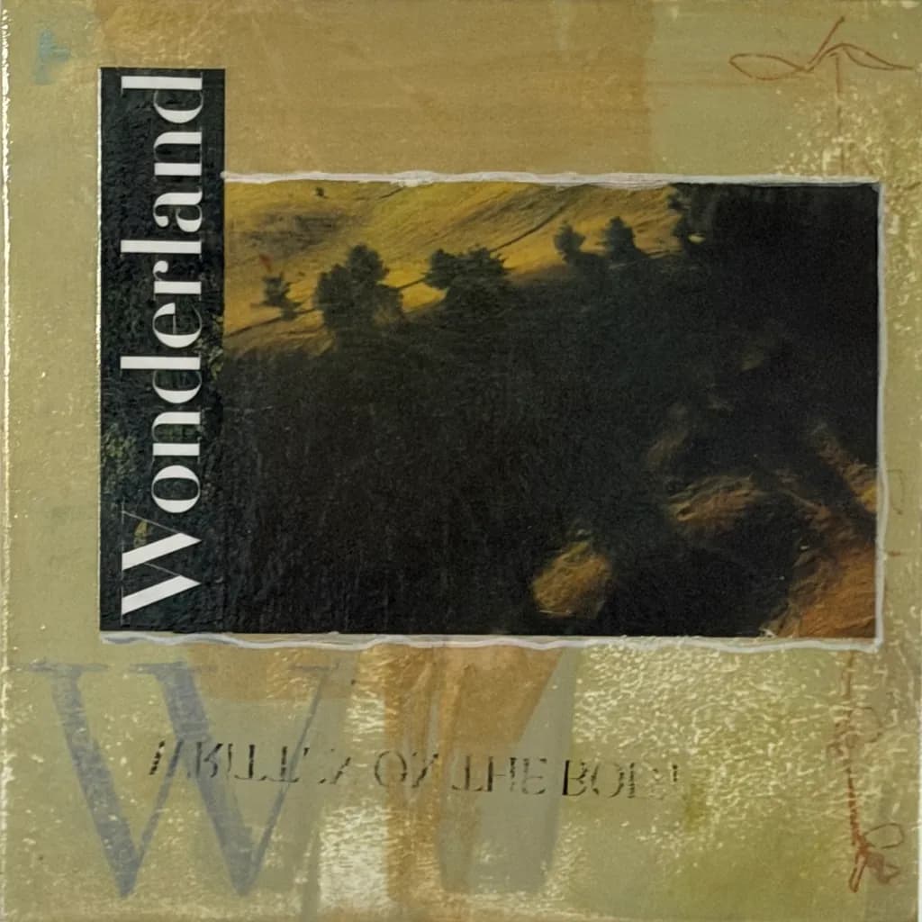 Whispers of Wonderland: A Journey Through Shadows and Light