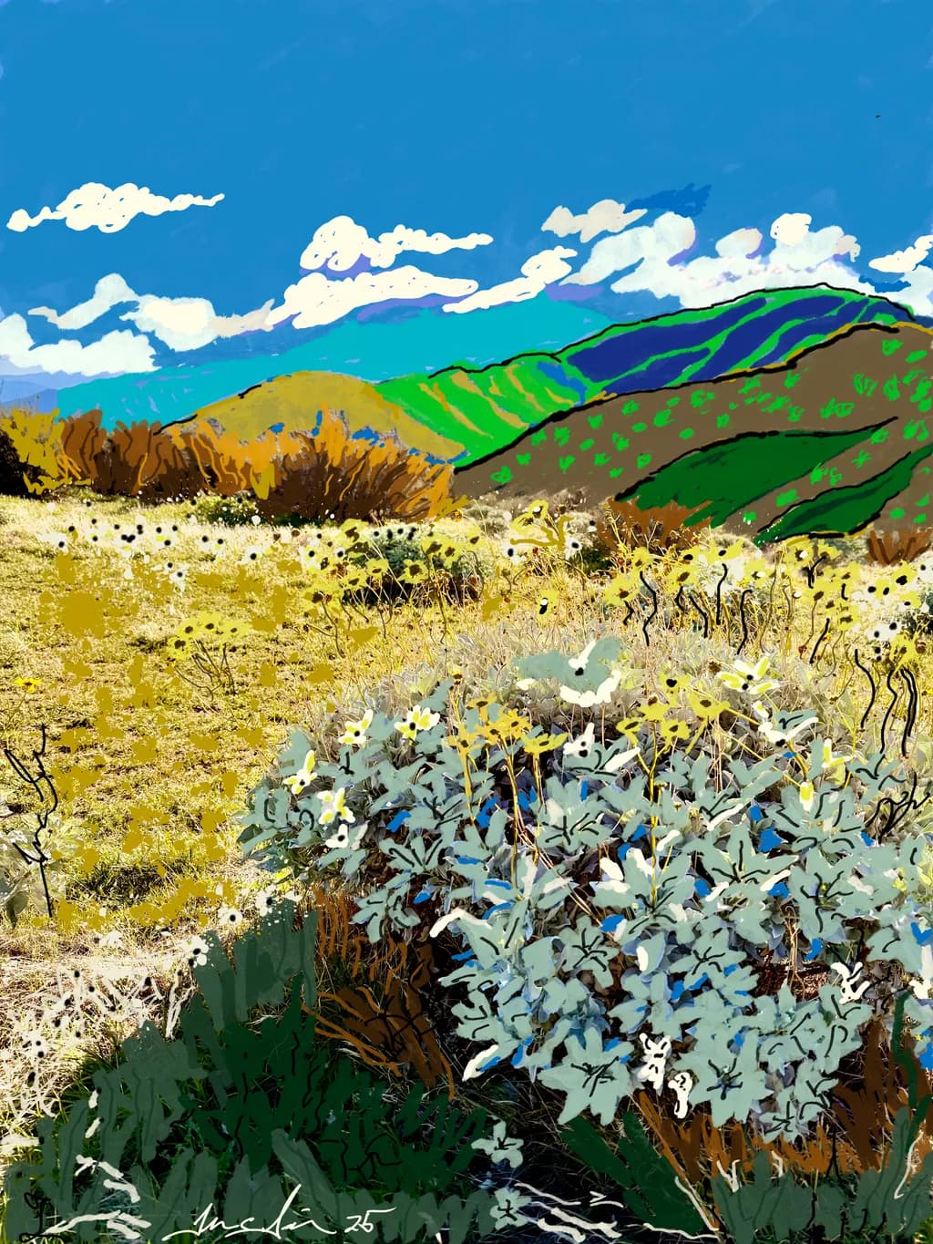 Mountain Bloom
