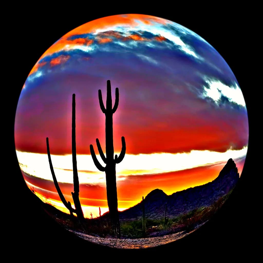 Vibrant Desert Sunset: Cacti Silhouettes Against a Fiery Sky