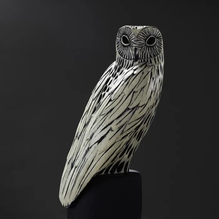 Snow Owl