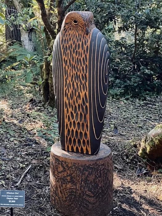 Wisdom Owl