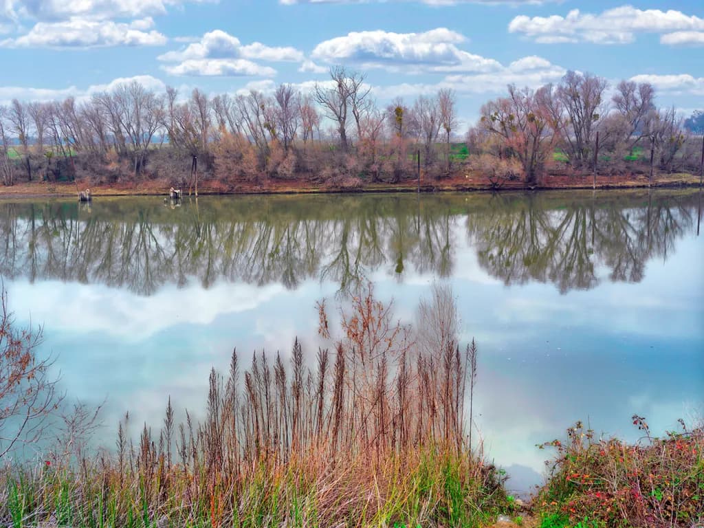 Serenity Reflected: A Tranquil River Scene with Whispering Trees and Soft Clouds