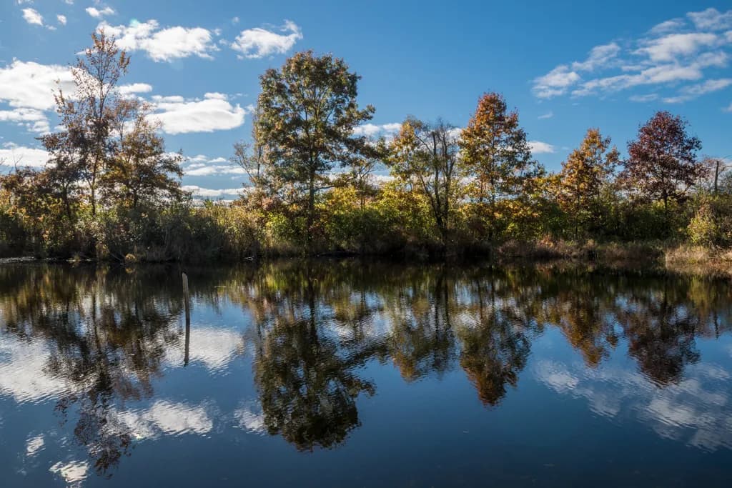 Whispers of Serenity: A Tranquil Reflection of Nature's Beauty