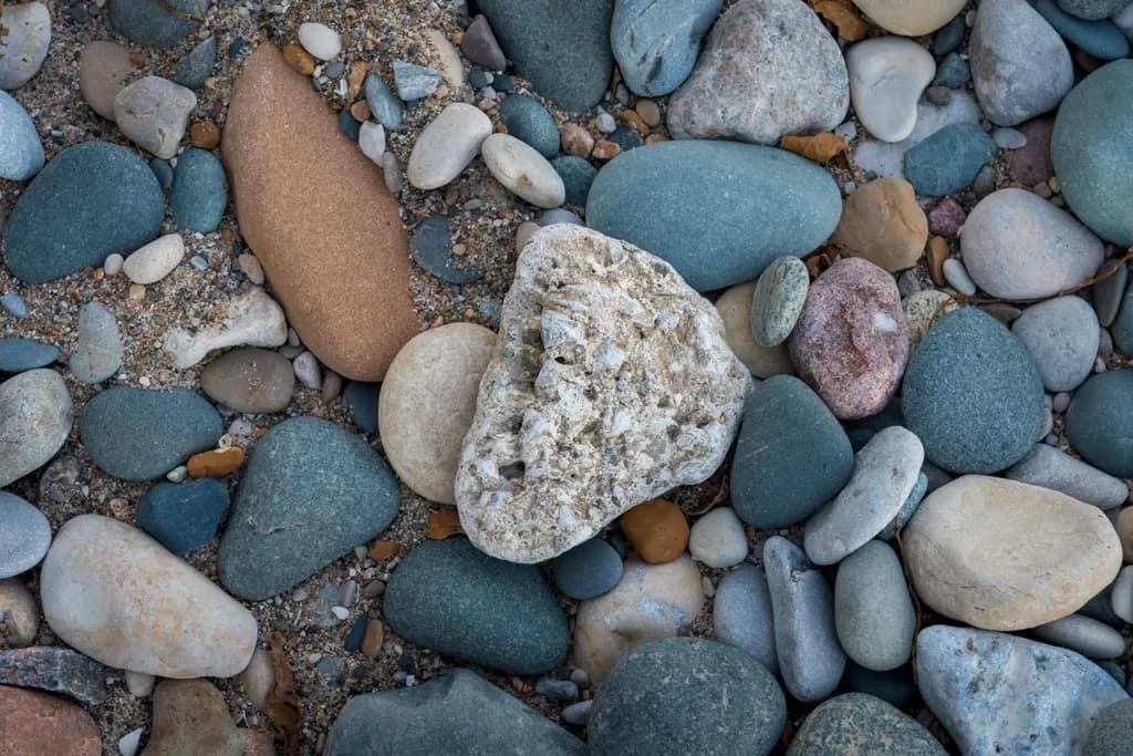Whispers of the Shore: A Mosaic of Nature's Stones
