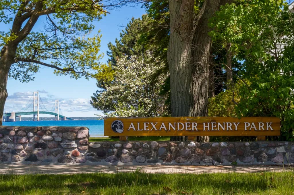 Whispers of Nature: A Serene Day at Alexander Henry Park