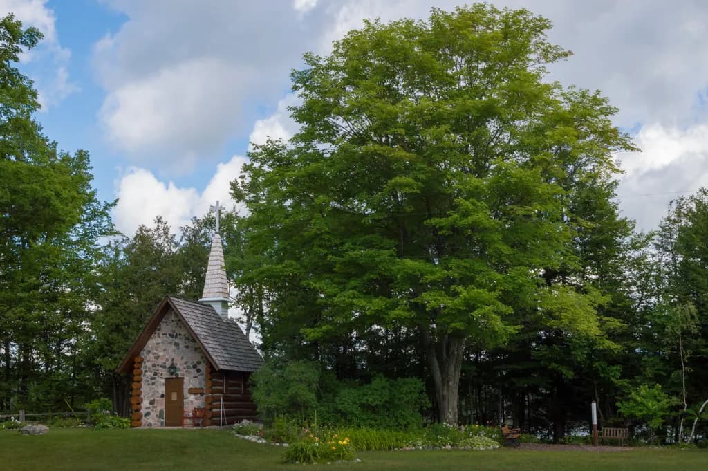 Whispers of Serenity: A Charming Chapel Embraced by Nature's Embrace