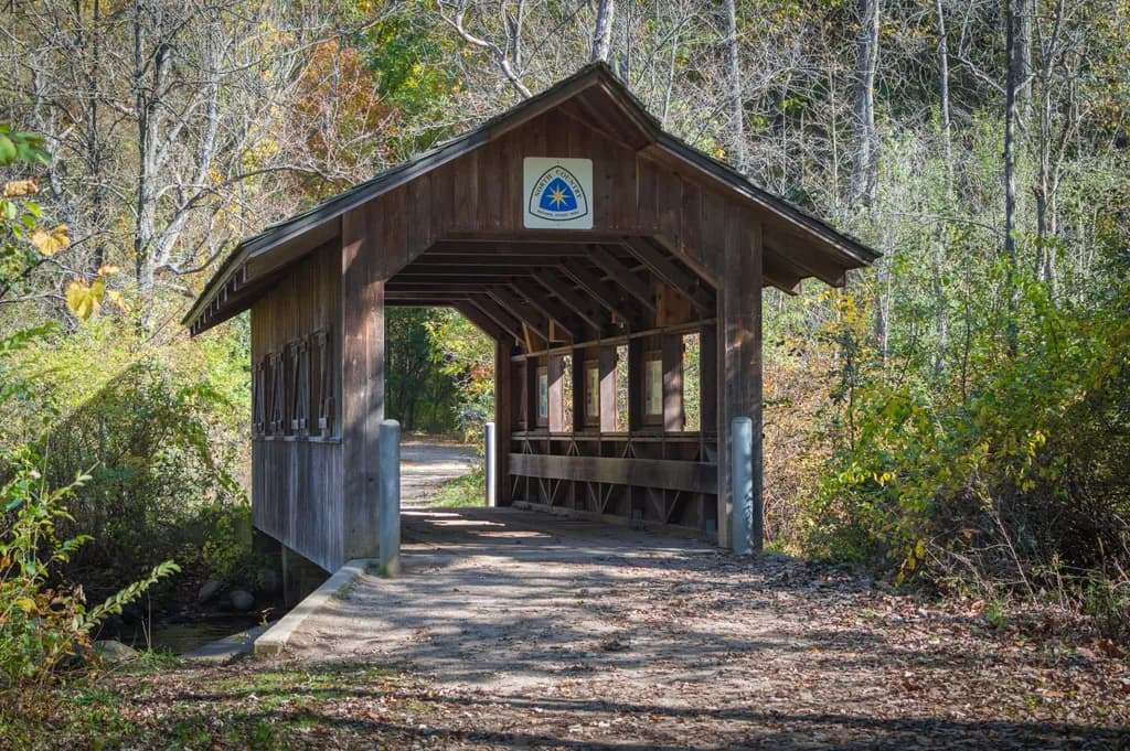 Whispers of Autumn: A Serene Pathway Through Nature's Embrace