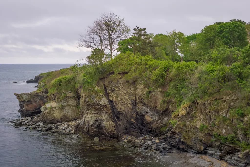 Whispers of the Coast: A Serene Encounter with Nature's Edge
