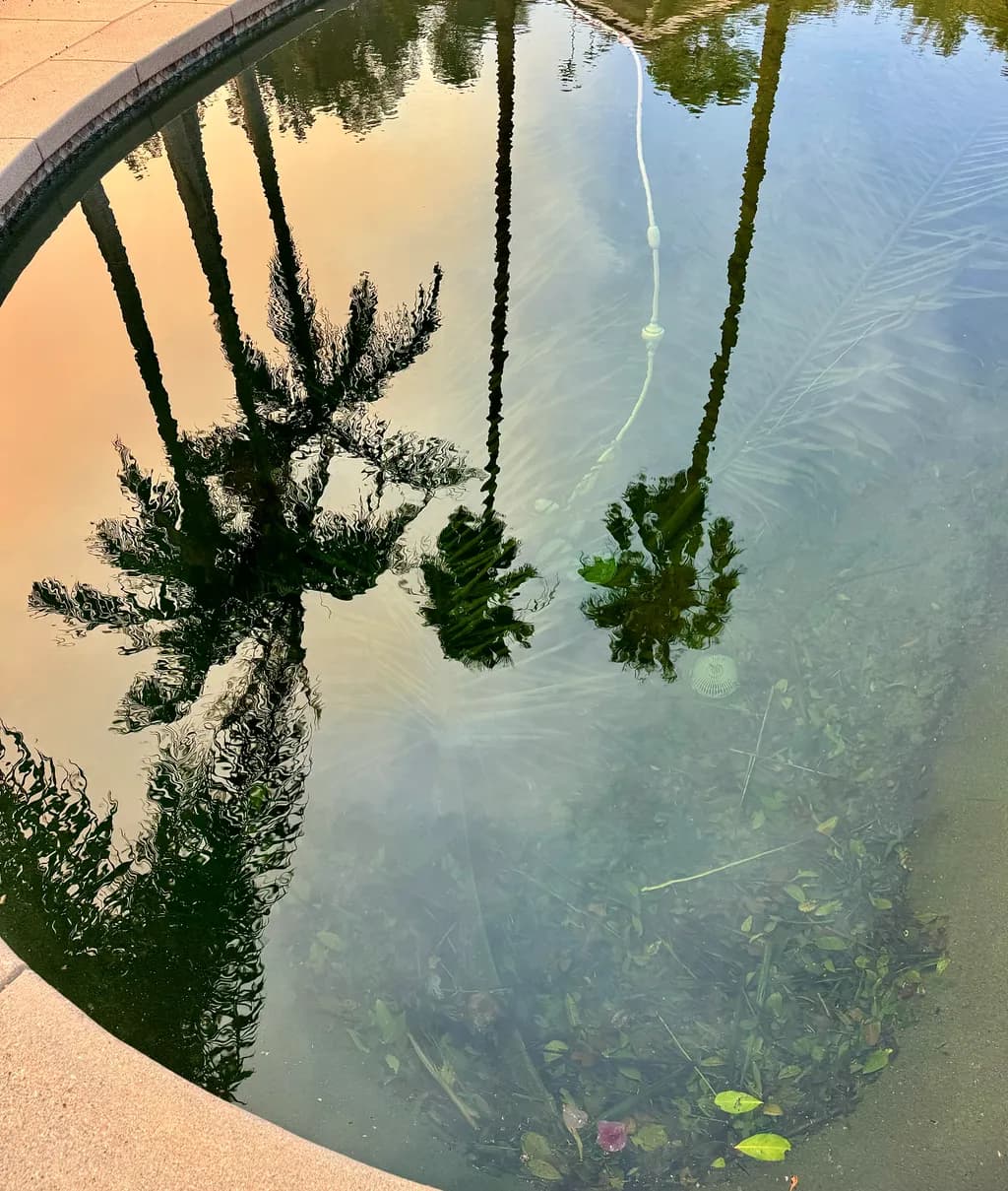 Reflections in Stillness