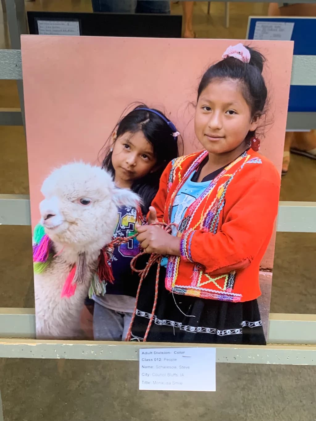 Whispers of Tradition: A Portrait of Joyful Connection with Alpacas and Children