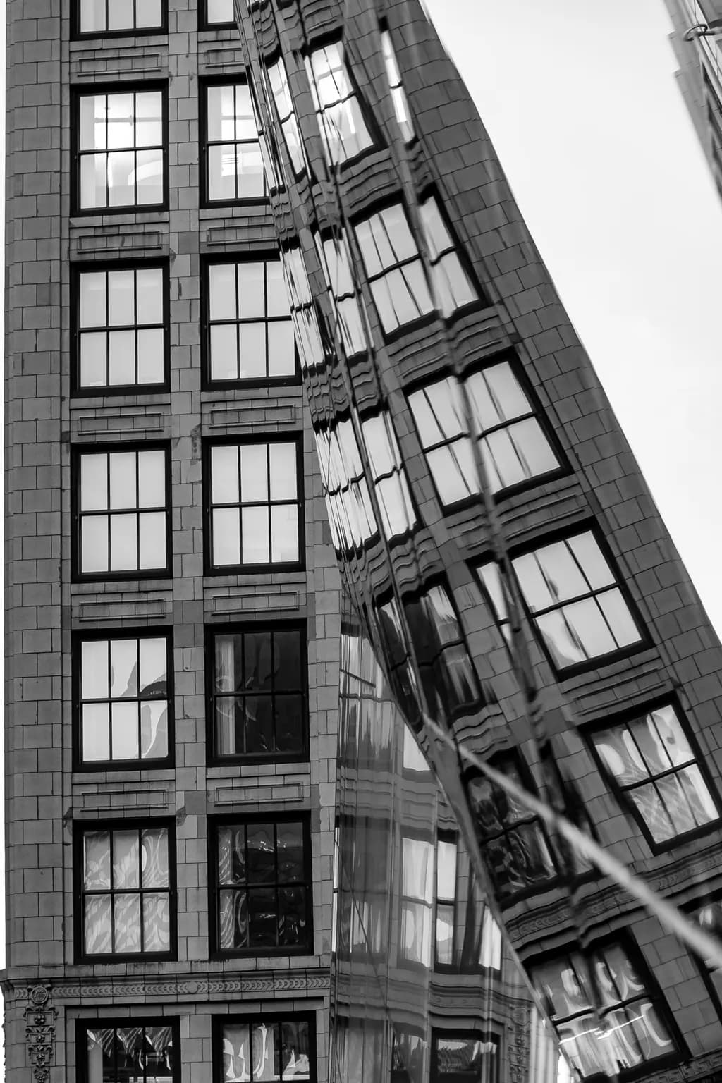 Mirrored Muses