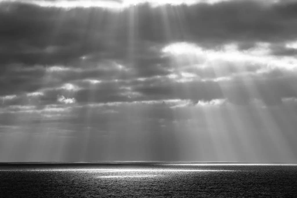 Ocean Solace