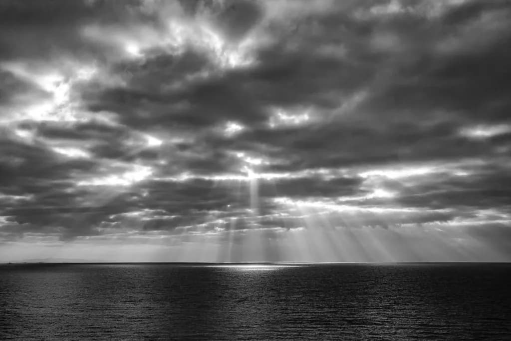 Ocean Solace
