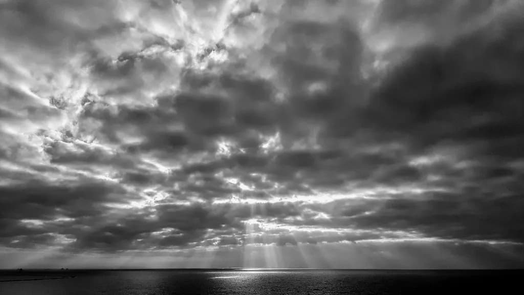 Ocean Solace