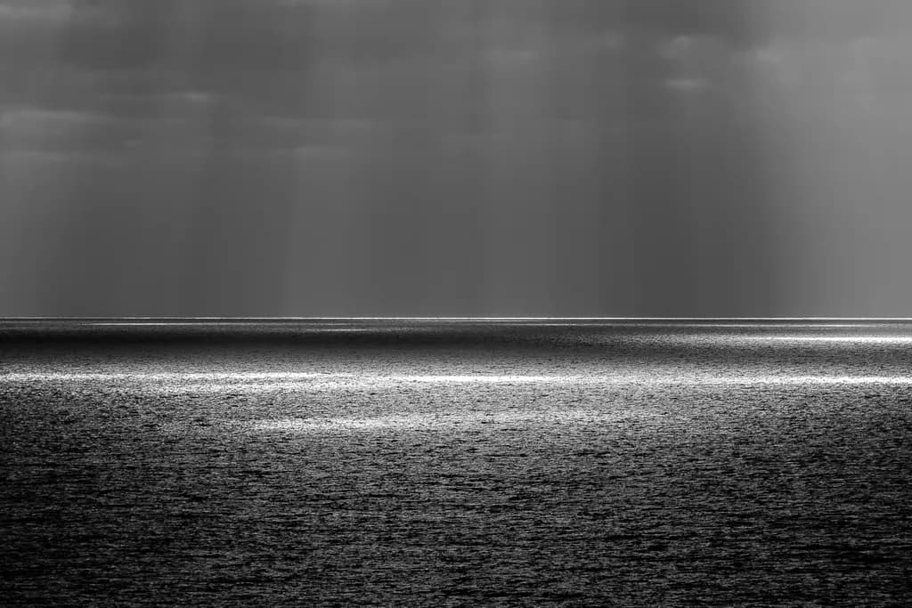 Ocean Solace