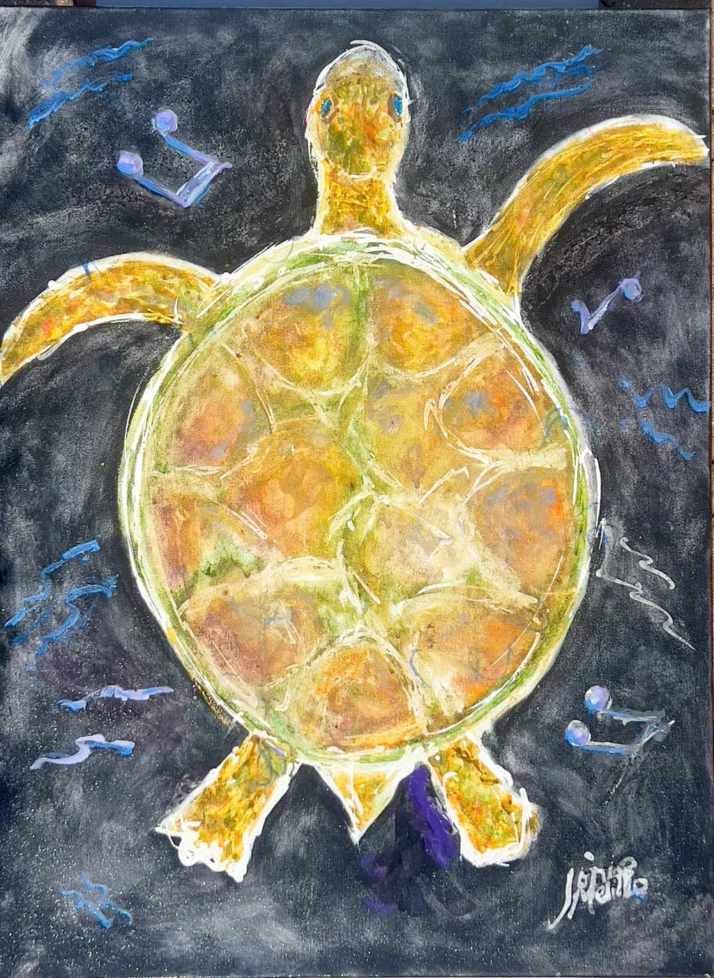 Turtle in Motion
