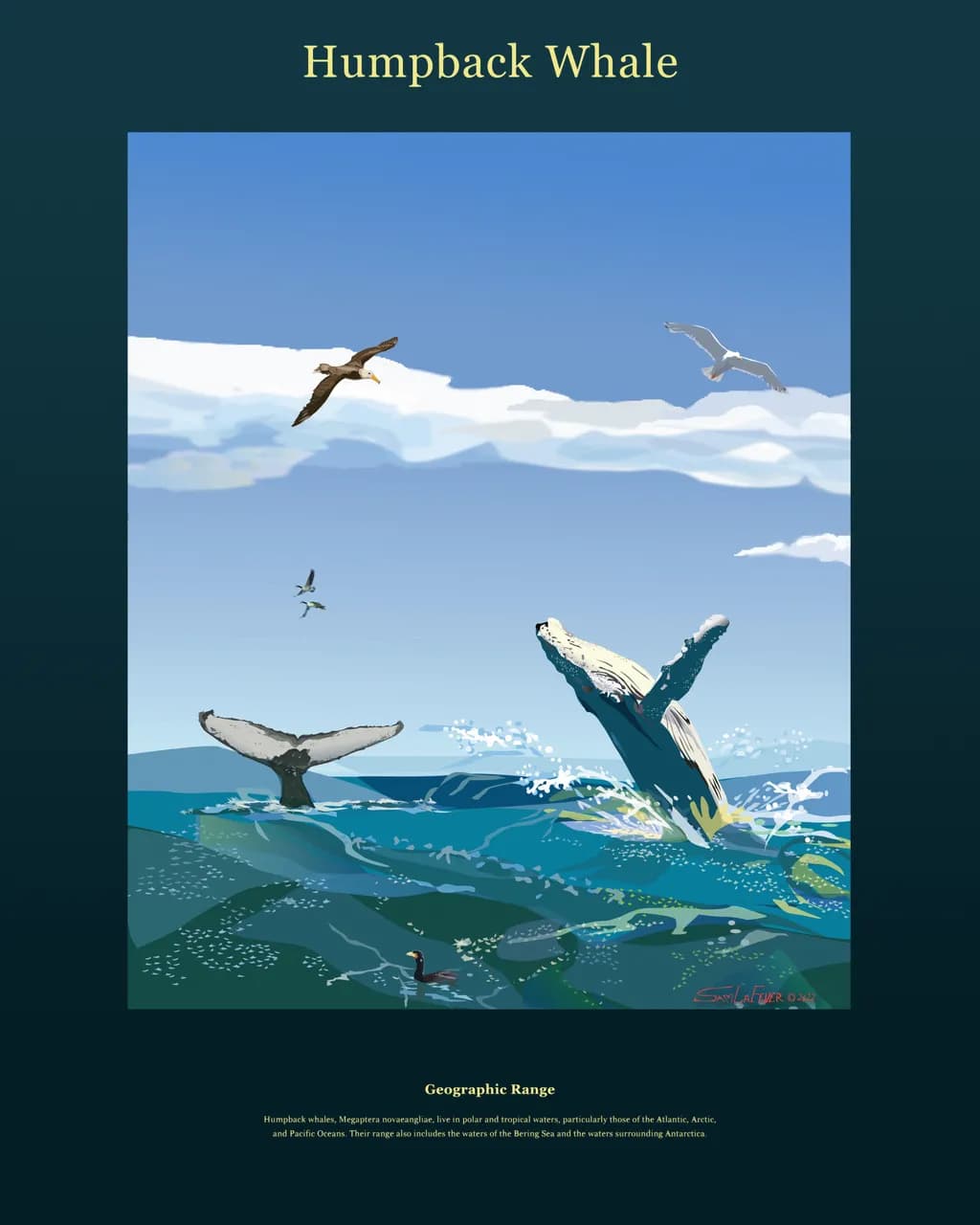 "Majestic Humpback: A Dance of Ocean Giants"