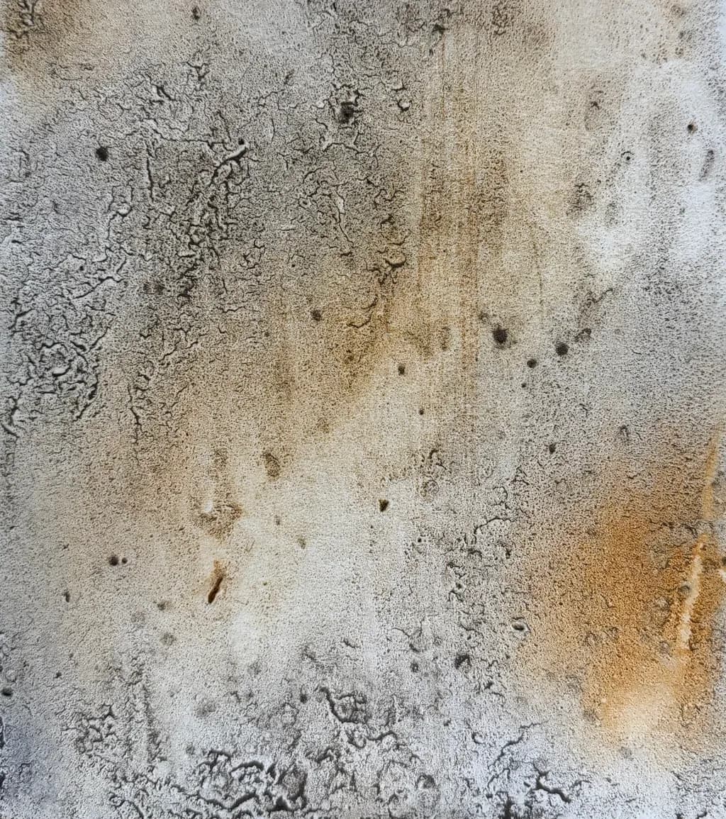 Weathered Earth: An Abstract Exploration of Texture and Grunge Patterns