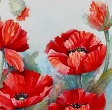 Vibrant Red Poppies: A Watercolor Celebration of Nature's Beauty